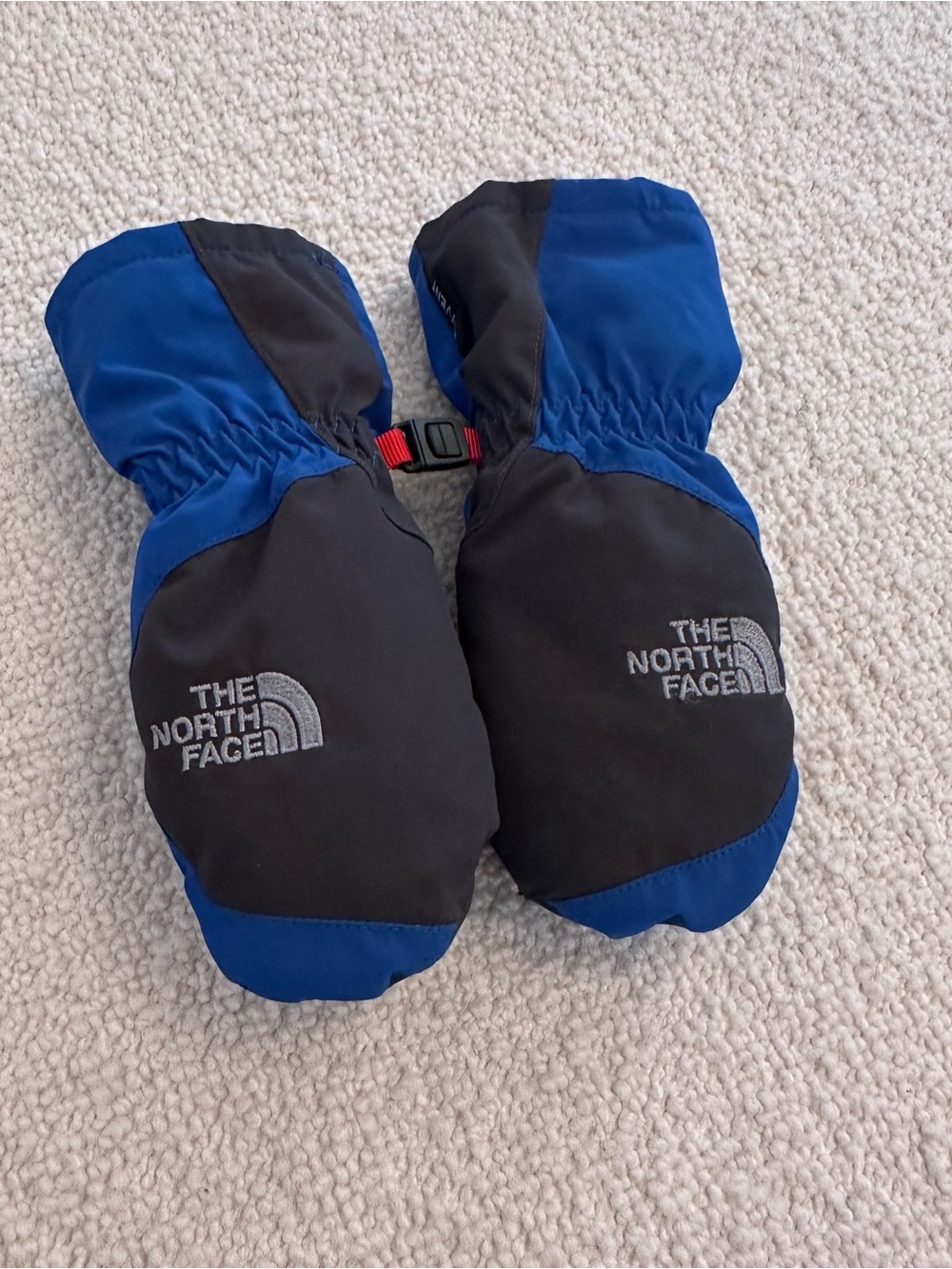 The North Face Kids Blue and Black Mittens